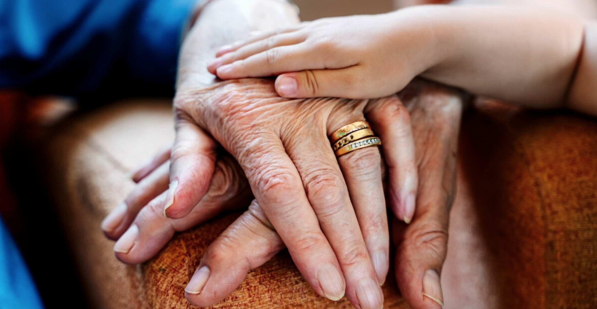 Festa dei nonni. Pro Vita & Famiglia: «Pensiamo agli anziani soli, che qualcuno vorrebbe uccidere con l’eutanasia» 1